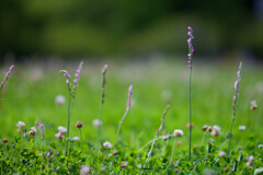 DSC00941_DxO