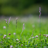DSC00941_DxO