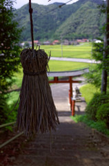田舎な風景