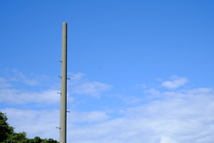 DSCF8926