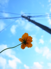 そばにいるよ