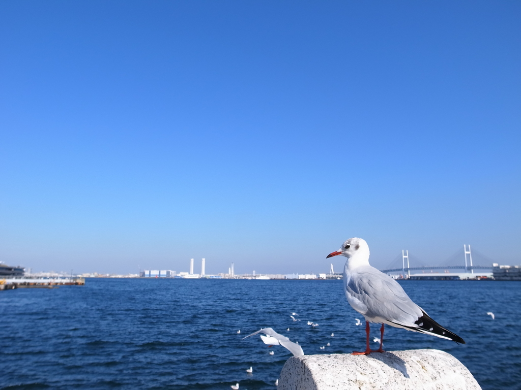 きりり