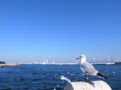 きりり