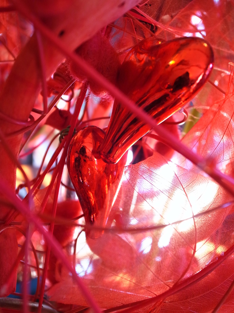 heart