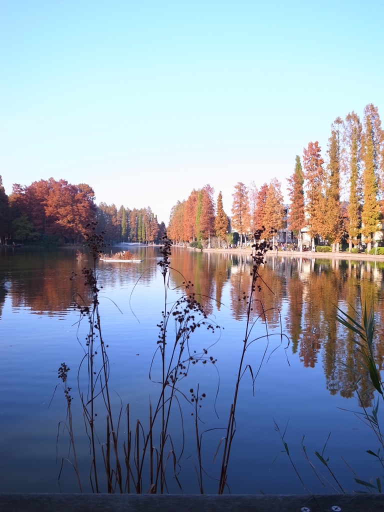 秋の公園