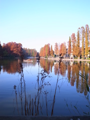 秋の公園