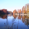 秋の公園