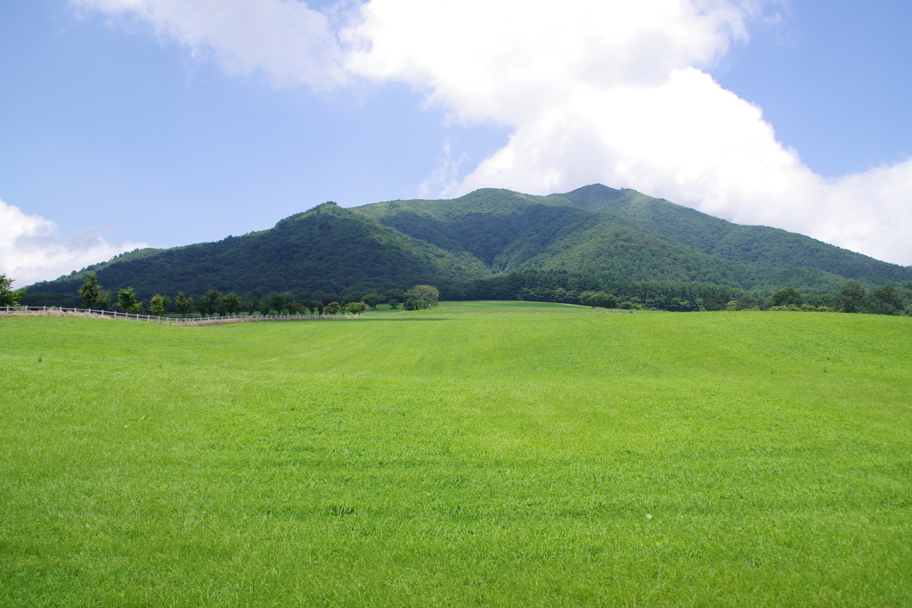 中蒜山