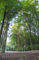 DSCF8889