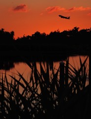 運河と森と飛行機