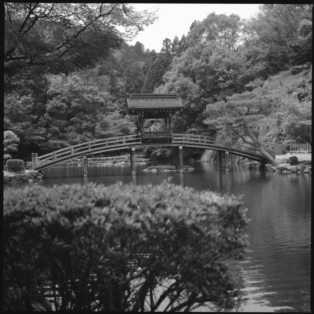 ちょっと永保寺に　#3