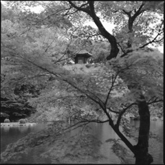 ちょっと永保寺に