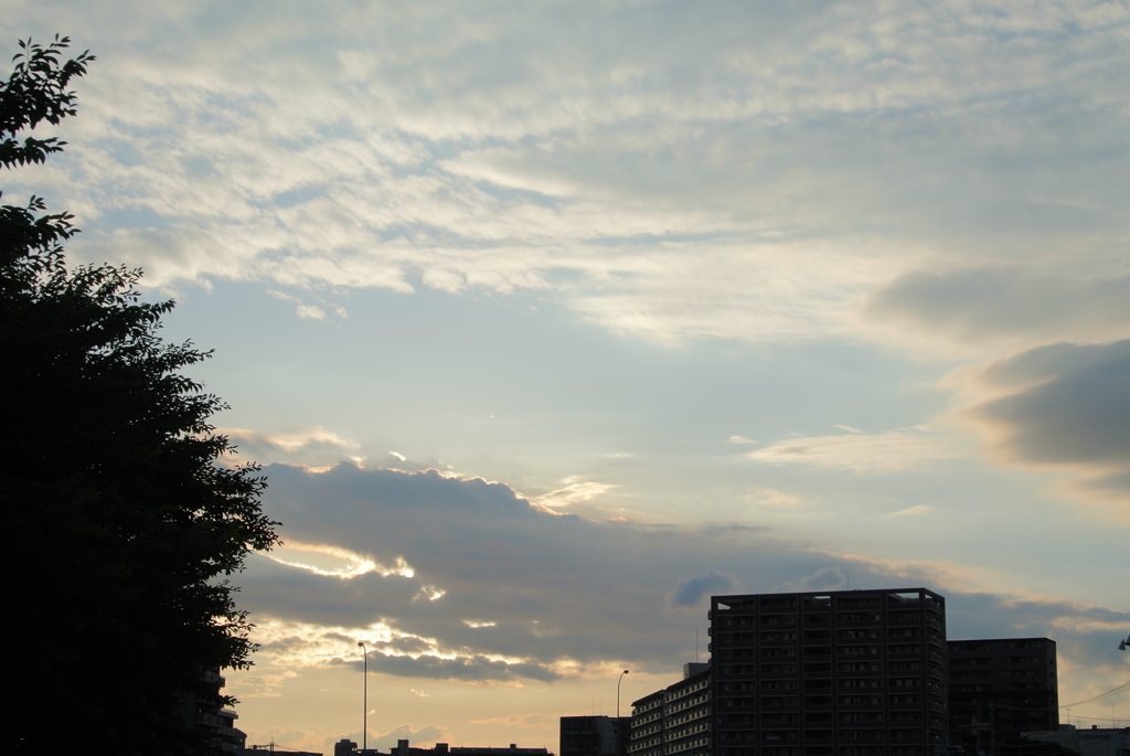 DSC_0086