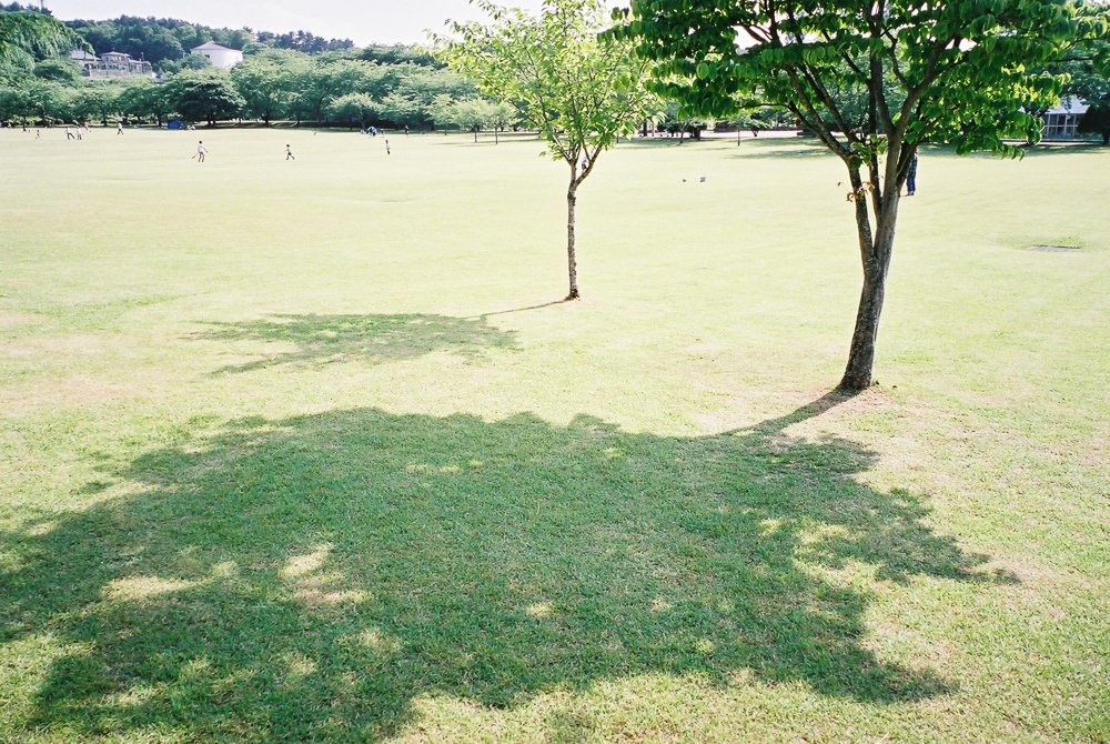 No.5