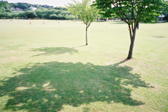 No.5