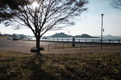 今は無き蕪島の姿