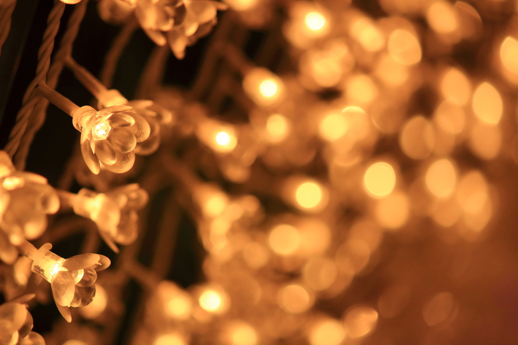 気づいて。。。