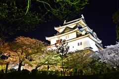 和歌山城と夜桜