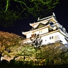 和歌山城と夜桜
