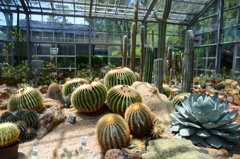  和歌山県植物公園緑花センター