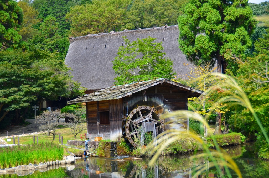 東山動植物園
