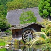 東山動植物園