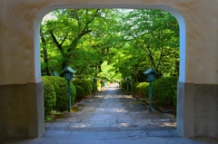 根来寺（ねごろじ）