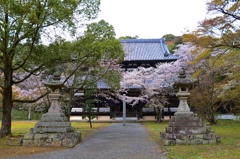 根来寺