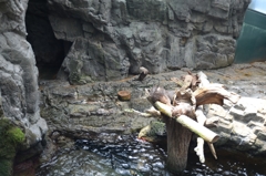 海遊館