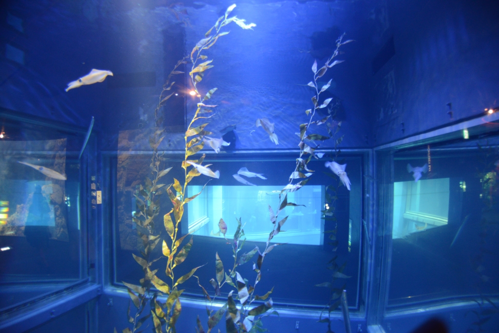 海遊館
