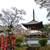 根来寺(ねごろじ）大塔