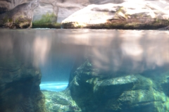 海遊館