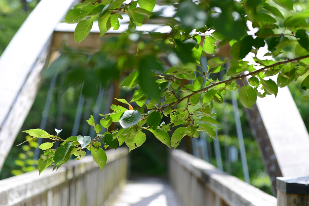  和歌山県植物公園緑花センター