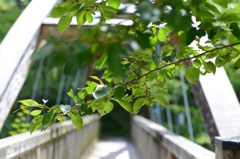  和歌山県植物公園緑花センター