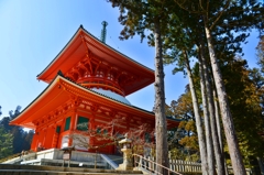 金剛峯寺・根本大塔