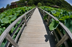  和歌山県植物公園緑花センター