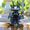 根来寺（ねごろじ）