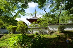 根来寺（ねごろじ）