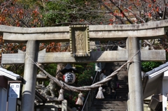 神戸