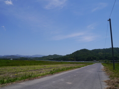 田んぼと空と