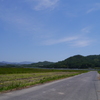田んぼと空と