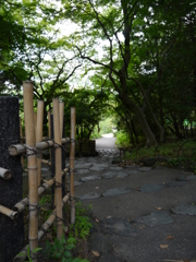 森の中