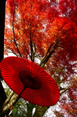 京都の秋
