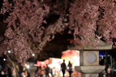 桜×神社×お祭り×デート