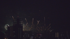 2006