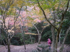 P1000288