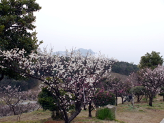 P1060014g