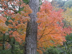 P1000292