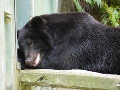 P1020349