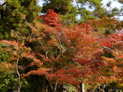 P1000219